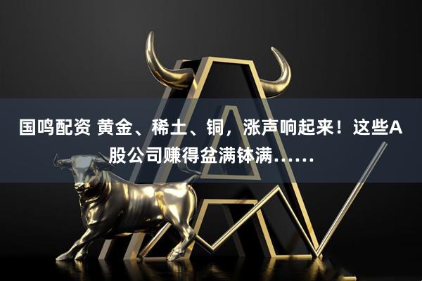 国鸣配资 黄金、稀土、铜，涨声响起来！这些A股公司赚得盆满钵满……