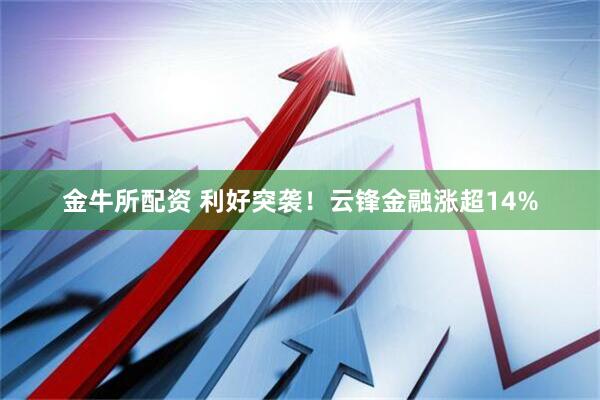 金牛所配资 利好突袭！云锋金融涨超14%
