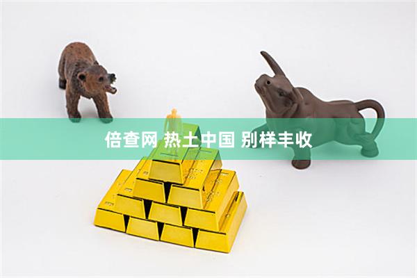 倍查网 热土中国 别样丰收