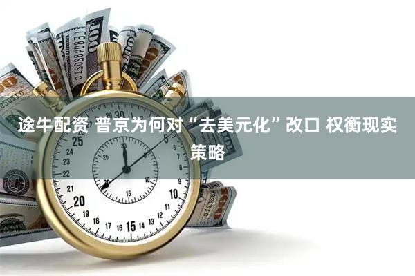 途牛配资 普京为何对“去美元化”改口 权衡现实策略